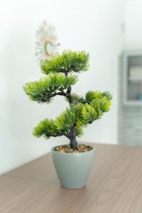 Imagen de la galería de Milena Suite Apartments, en Alghero 255 fotos más