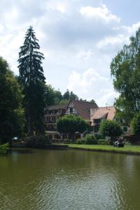 dom obok jeziora z budynkiem w obiekcie Auberge d'Imsthal w mieście La Petite-Pierre