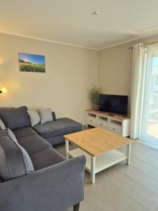 TV a/nebo společenská místnost v ubytování Hof Hagen - "An der Lämmerkoppel" Neubau + 22 fotografií