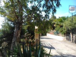 Fotografie z fotogalerie ubytování Maviria v destinaci Monemvasia