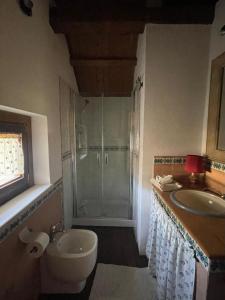 a bathroom with a shower and a toilet and a sink at Il Mulino esclusivo soggiorno in Colle +48 photos