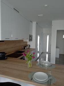 Kuchyň nebo kuchyňský kout v ubytování Villapark Apartmanok A-B 3, 4,