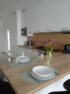 Kuchyň nebo kuchyňský kout v ubytování Villapark Apartmanok A-B 3, 4,