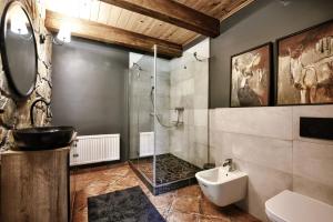 a bathroom with a glass shower and a sink at Dom wakacyjny Chata Babci Wolf in Strzebowiska +12 photos