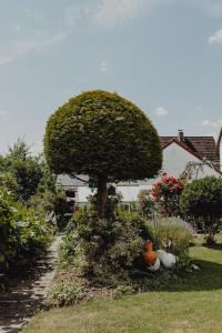 a tree in the middle of a garden at Stadt Land Fluss Boutique Aparthotel by Zollhaus in Forchheim