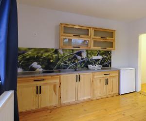 Kuchyňa alebo kuchynka v ubytovaní Apartmány pri Belej