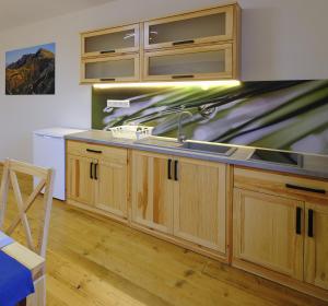 Kuchyňa alebo kuchynka v ubytovaní Apartmány pri Belej
