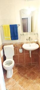 a bathroom with a toilet and a sink and a mirror at Къща за гости ,,Лозница ГТ'' in Varna City