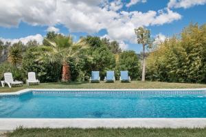 einen Pool mit zwei blauen Stühlen und Palmen in der Unterkunft Casa Rural Cantarrana in Arriate