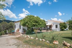 una vista exterior de una casa con un árbol en Casa Cantarrana, en Arriate