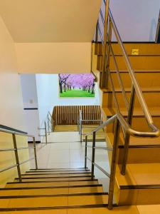 Foto Mactanis asuva majutusasutuse Axis Pension Hotel galeriist