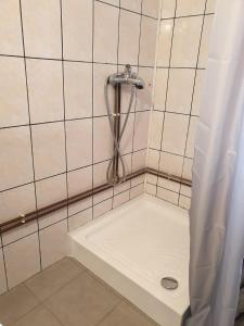 a shower in a tiled bathroom with a sink at Pensiunea Dyana in Moieciu de Jos +33 photos
