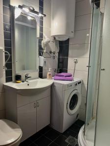Un baño con lavadora y lavabo. en Apartman Tomić, en Vrnjci 2 fotos más