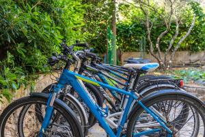 Jazda na bicykli v okolí ubytovania Apartment in Cres with sea view, balcony, air conditioning, Wi-Fi (4249-1)