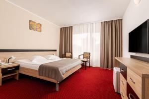 Μια τηλεόραση ή/και κέντρο ψυχαγωγίας στο Complex Balnear Cozia - Corp Cozia