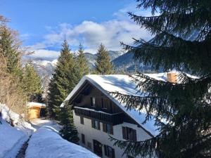 een met sneeuw bedekt dak van een huis in de bergen bij Fewo Isabella in Mittenwald +10 foto's