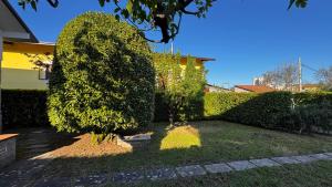 Gambar di galeri bagi Villa Marvitt -Stone Cottage di Isernia