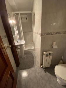 a bathroom with a toilet and a sink at Etxeberria in Zarautz