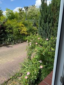 Taman di luar Dom z widokiem na Wisłę, ogrodem i parkingiem AC Progres