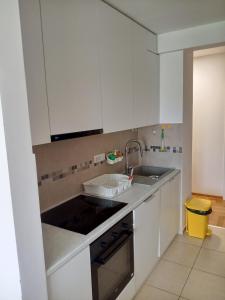 Fotografie z fotogalerie ubytování Djuric Apartment v destinaci Valjevo