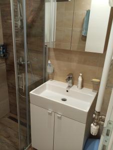 Fotografie z fotogalerie ubytování Djuric Apartment v destinaci Valjevo