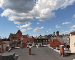 a view of a city from the roof of a building at Apartamenty w centrum Wawel & Smok AC Progres in Toruń