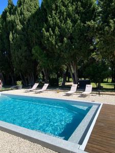 a swimming pool with lounge chairs and trees at Gîte Les cyprès de l'ile in Avignon