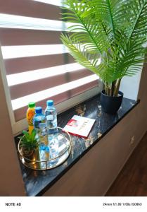 a window sill with bottles and a potted plant at Apartament Centrum Lublin in Lublin