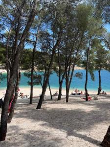 a group of people on a beach with trees at Mobile homes Laguna, beach Porat, Drage in Drage