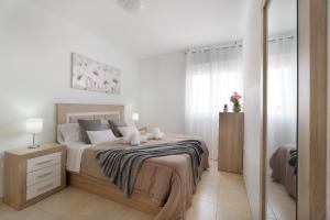 a bedroom with a bed and a mirror at Apartamento Gabriela in Candelaria +19 photos