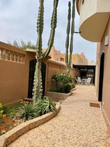 a courtyard of a house with cactus at Modern villa with pool in Mirleft