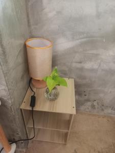 a plant in a glass bowl on a wooden table at บ้านพักคุณยายเขียว in Ban Thung Kham