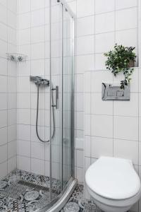 a bathroom with a shower and a toilet at Apartmani Pobeda in Bela Crkva