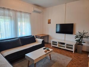 Μια τηλεόραση ή/και κέντρο ψυχαγωγίας στο Village experience - Skadar lake