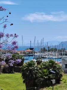 巴勒莫MARE Suite的停靠在码头的一群船