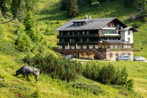 una mucca in piedi su una collina di fronte a una grande casa di Hotel Alpen Arnika a Tauplitzalm