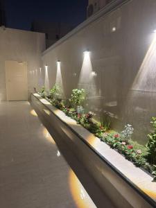 a long row of plants on a wall with lights at شقق فاخرة in Riyadh