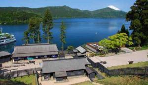 Příroda nedaleko vily