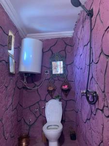 a purple bathroom with a toilet and a stone wall at Château Berbère Madame DELLAL in Taroudant
