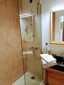 Appartement cozy au coeur d' Annecy في أنِسي: حمام مع دش وباب زجاجي