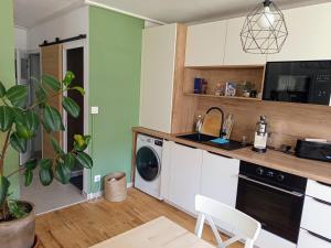 Appartement cozy au coeur d' Annecy في أنِسي: مطبخ مع حوض وغسالة أطباق