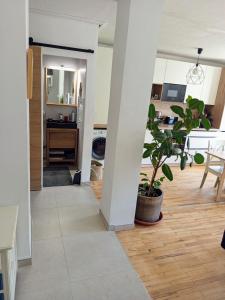 Appartement cozy au coeur d' Annecy في أنِسي: غرفة معيشة مع طاولة ونبات الفخار