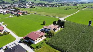 Táj Show holiday homes közelében