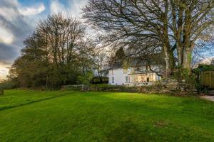 a large yard with a white house and a tree at Trenderway Farm in Looe