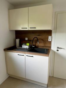 Kuchyň nebo kuchyňský kout v ubytování Eigentumswohnung in direkter Waldrandlage von Sandhausen - keine Handwerkerunterkunft! + 9 fotografií