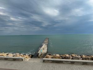 a group of sheep standing next to a pier in the water at Apartments Carpe Del Mare Complex Carpe Diem Balchik in Balchik