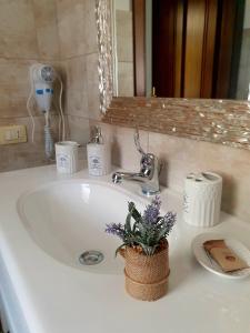a bathroom sink with a plant in a basket on it at Palmas Anna's rooms Is Procilis in Palmas Arborea +41 photos