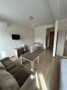 TV a/nebo společenská místnost v ubytování Hotel Mireosi