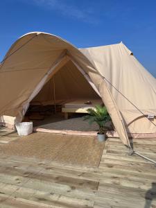 a large tent with a potted plant in it at Springfield glamping in Marwood