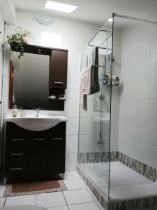 une salle de bain avec un lavabo et une douche dans l'établissement Original - 10 minuti da Matera, à Altamura